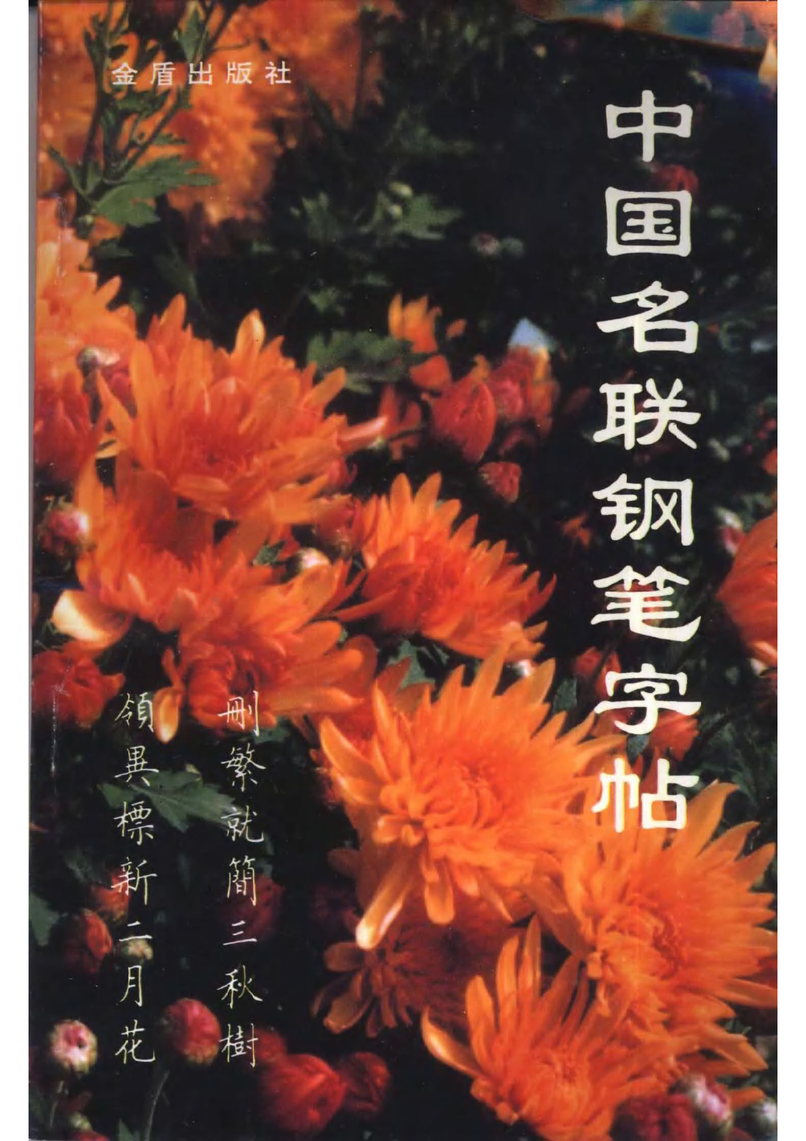 ybsh2000067.-.卢中南书 中国名联钢笔字帖（金盾出版社）_页面_001