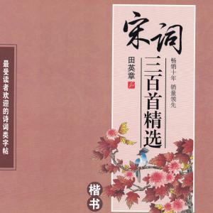 田英章 楷书 宋词三百首.pdf