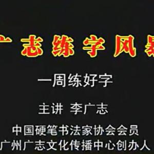 李广志 硬笔书法连笔字基础突破训练 一周练好字 完整版
