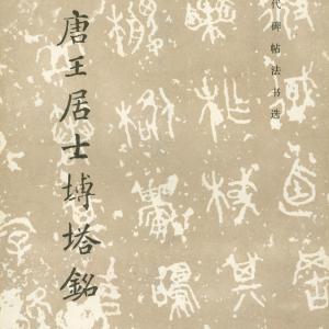 大唐王居士砖塔铭.pdf