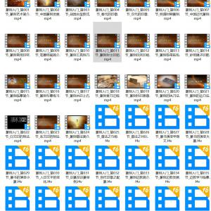 张遴骏 篆刻入门(共43节全) 1.38GB 篆刻教学视频合集