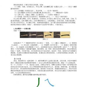 书法教学 第六讲 向右看齐.pdf