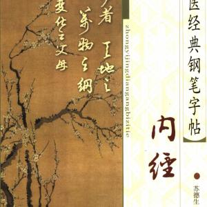 苏德生 中医经典钢笔字帖-内经.pdf