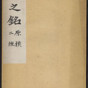 大唐王居士砖塔铭 2种 上官灵芝撰 敬客书 唐显庆三年 658年 清拓本.pdf