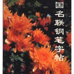 卢中南书 中国名联钢笔字帖（金盾出版社）.pdf