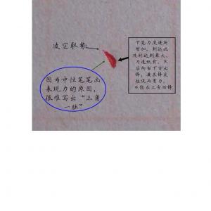 硬笔笔画写法 佚名.pdf