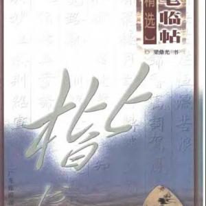 梁鼎光 楷书 钢笔临帖.pdf