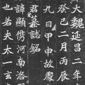 北魏 楷书 元显儁墓志铭.pdf