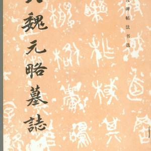 北魏 元略墓志.pdf