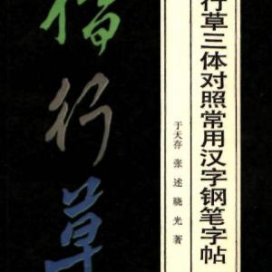 于天存 张述 晓光著 楷行草三体对照常用汉字钢笔字帖.pdf