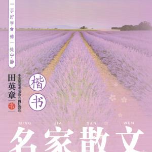 田英章 楷书 名家散文.pdf
