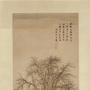 会员头像