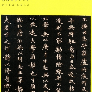 svip002690的头像