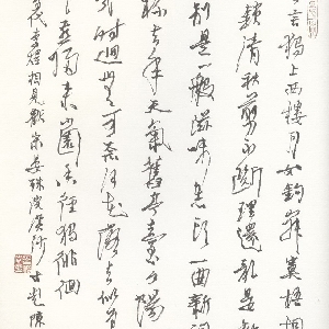 会员头像