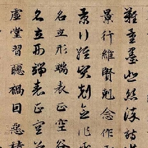 会员头像