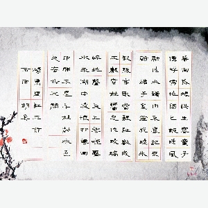会员头像