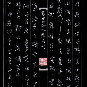 会员头像