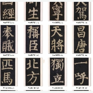 会员头像