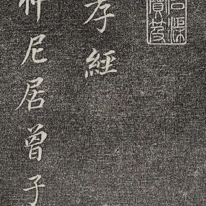 会员头像