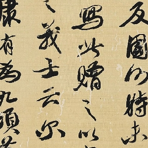 会员头像