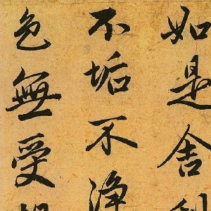 会员头像