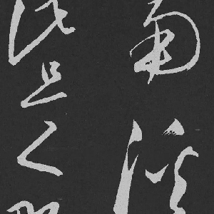 会员头像