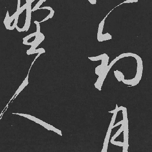 vip004573的头像