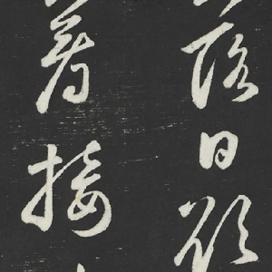 vip004657的头像