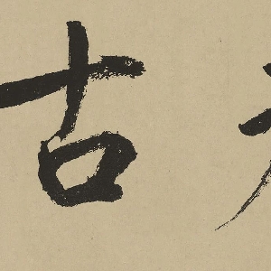 会员头像
