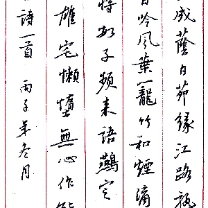 svip005162的头像