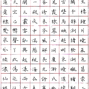 user005181的头像