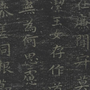 会员头像