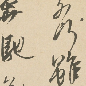 会员头像