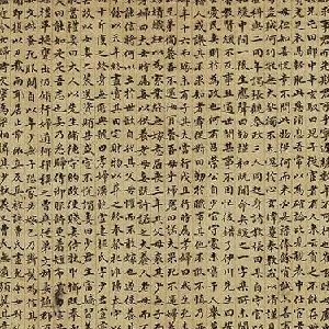 会员头像