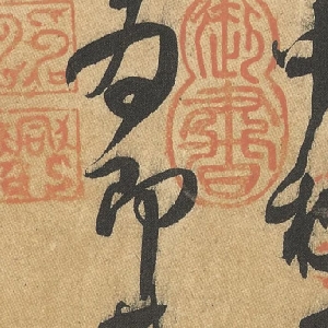 会员头像