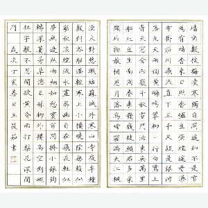 会员头像