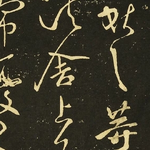 user005904的头像