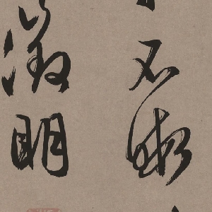 会员头像