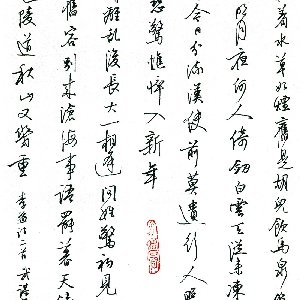 user006219的头像