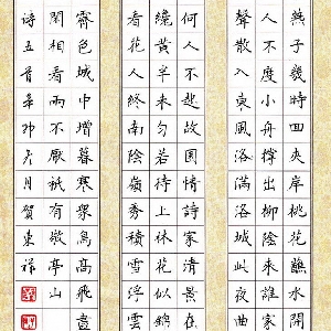 会员头像