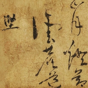 会员头像