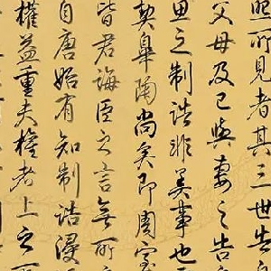 会员头像