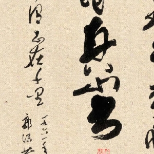会员头像