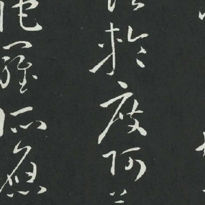 会员头像