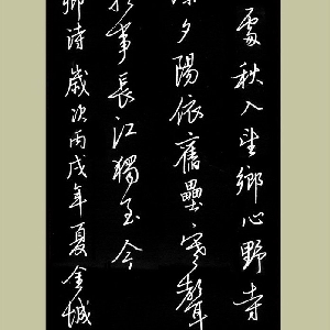 会员头像