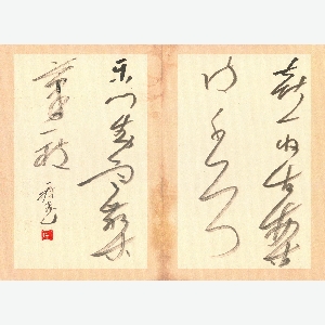 会员头像