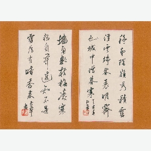会员头像
