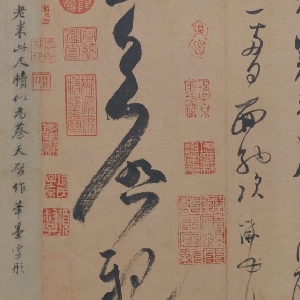 会员头像
