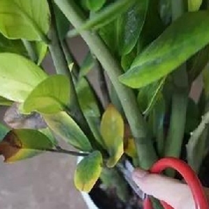 user009153的头像