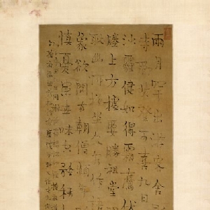 会员头像